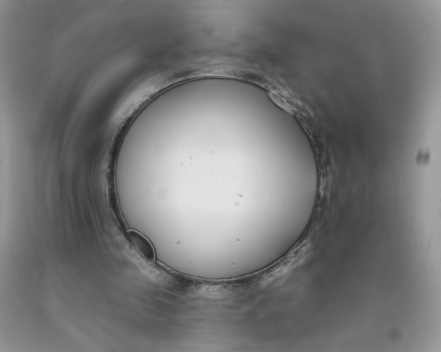 X0000091700341200709141104