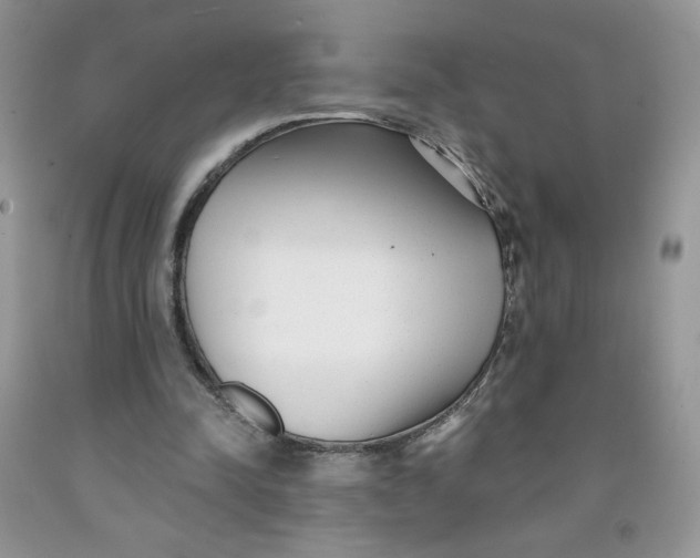 X0000091700342200709141104