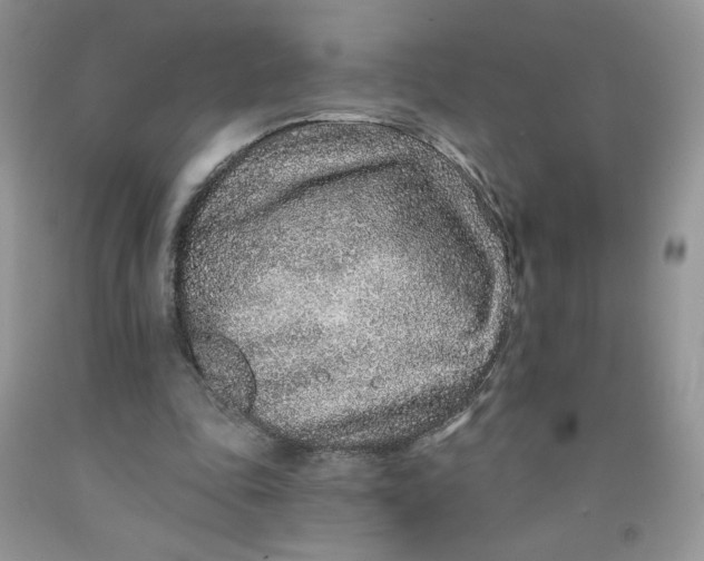 X0000091700343200709141104