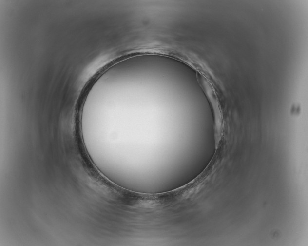 X0000091700344200709141104