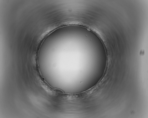 X0000091700345200709141104