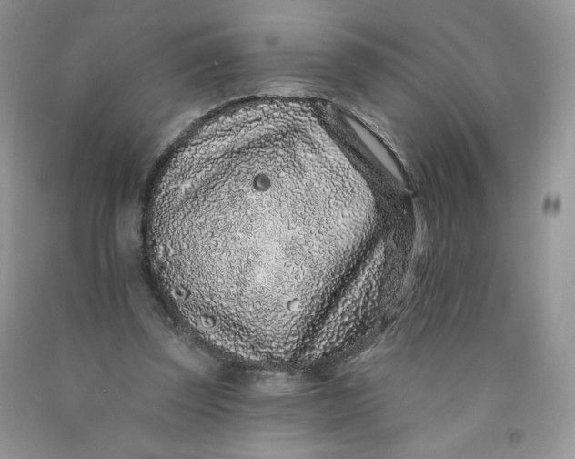 X0000091700347200709141104