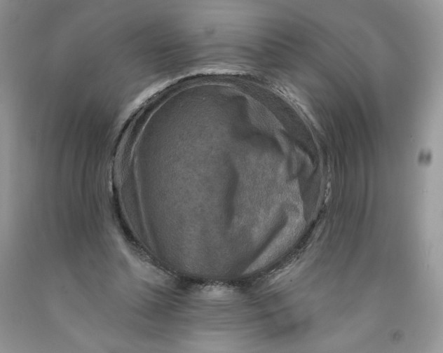 X0000091700348200709141104