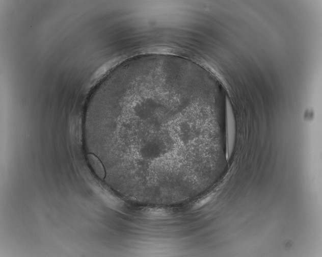 X0000091700349200709141104