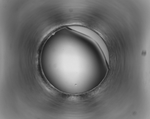 X0000091700350200709141104