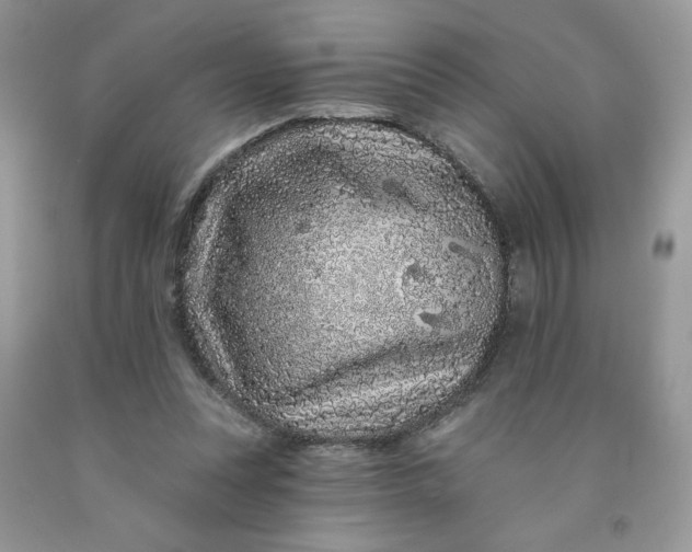 X0000091700351200709141104