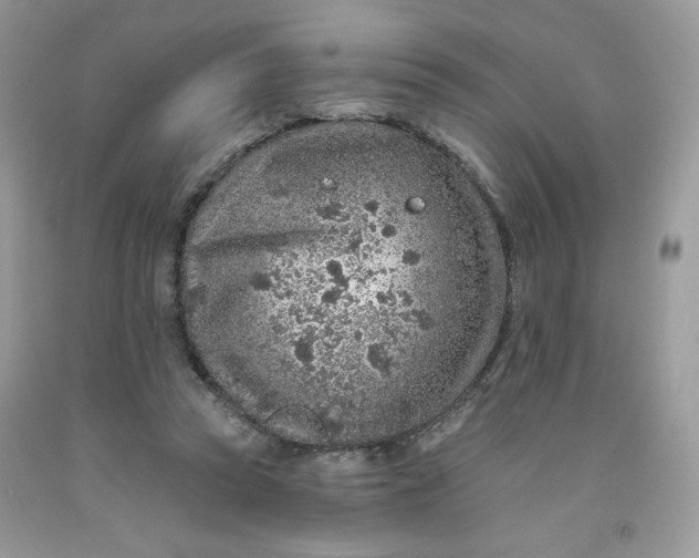 X0000091700353200709141104