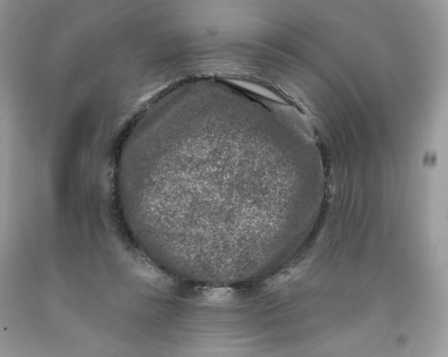 X0000091700355200709141104