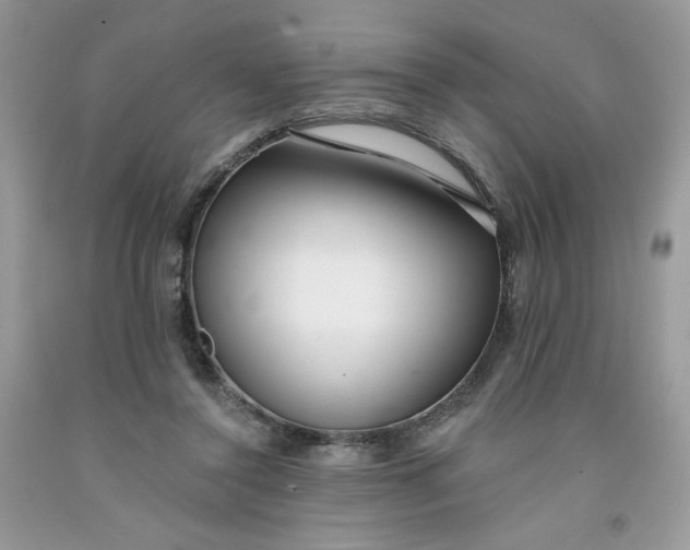 X0000091700356200709141104