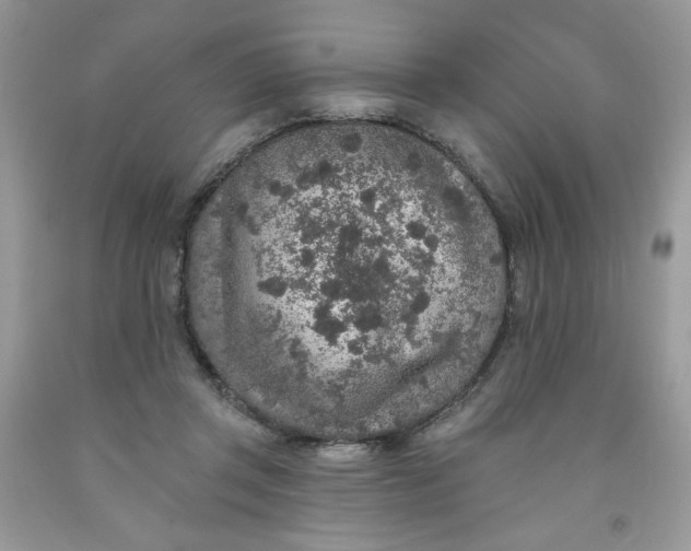 X0000091700357200709141104