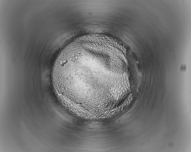 X0000091700359200709141104