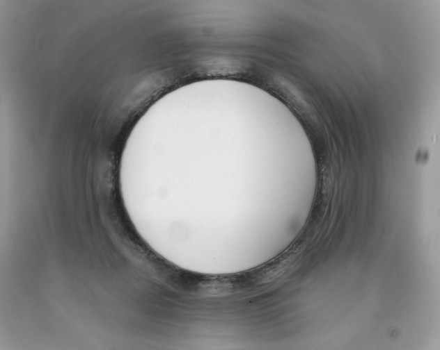 X0000091700362200709141104