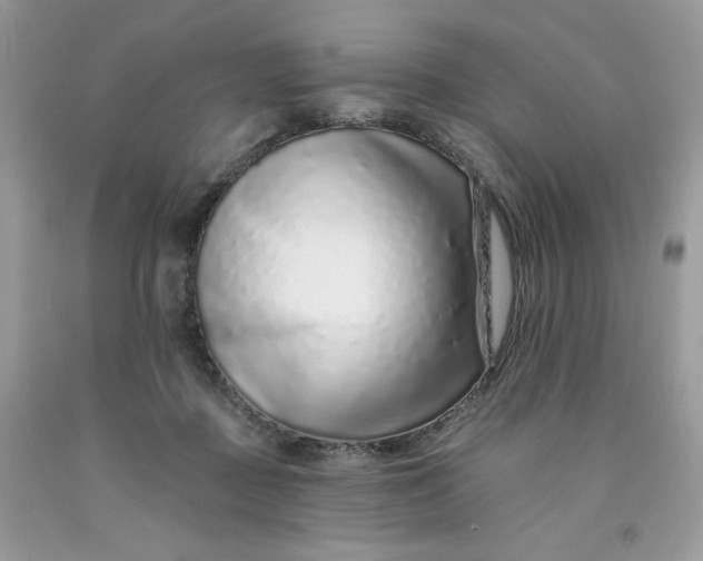 X0000091700363200709141104