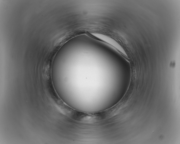 X0000091700364200709141104