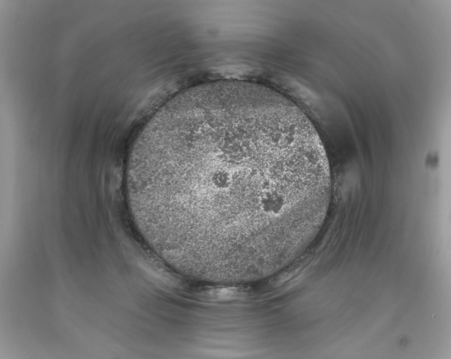 X0000091700365200709141104