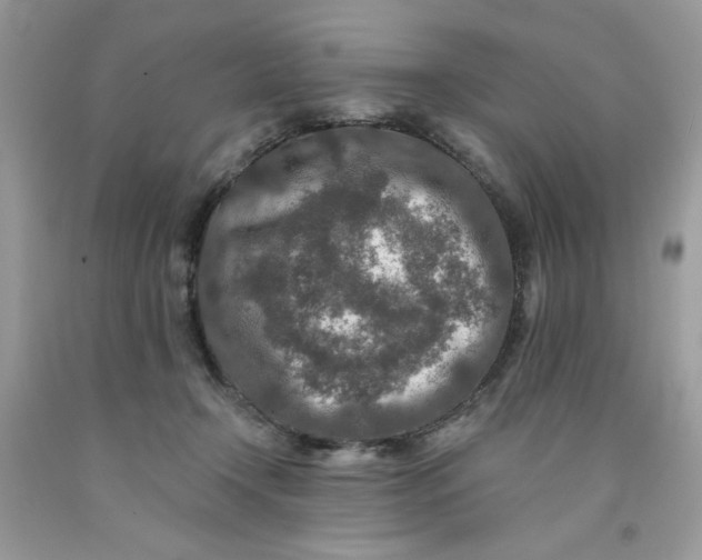 X0000091700366200709141104