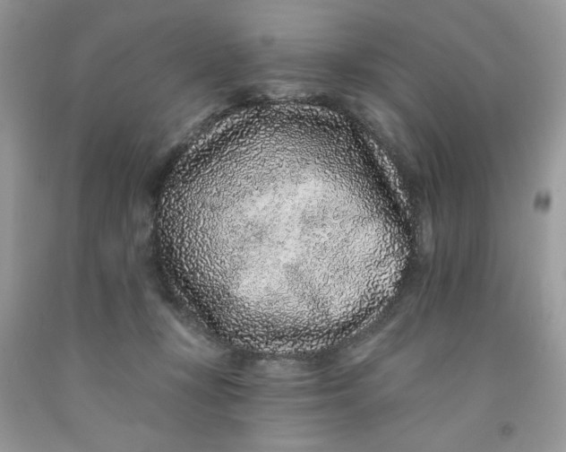 X0000091700367200709141104