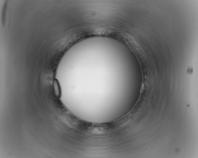 X0000091700368200709141104