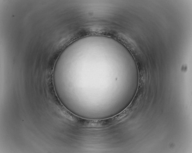 X0000091700369200709141104