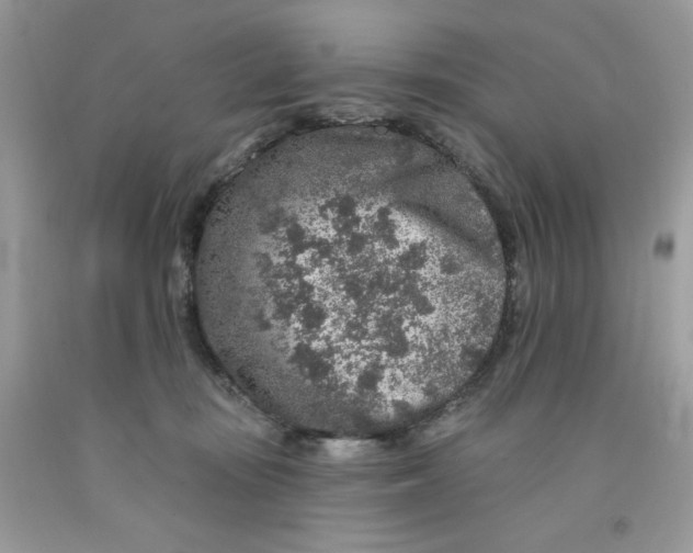 X0000091700371200709141104