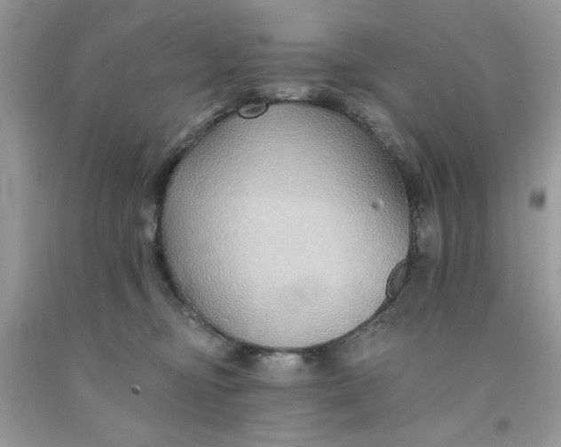 X0000091700374200709141104