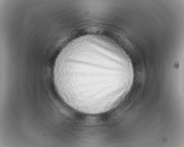 X0000091700375200709141104