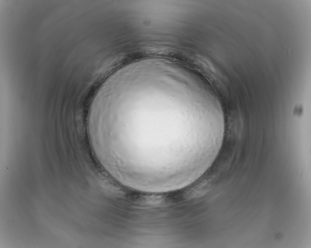 X0000091700377200709141104