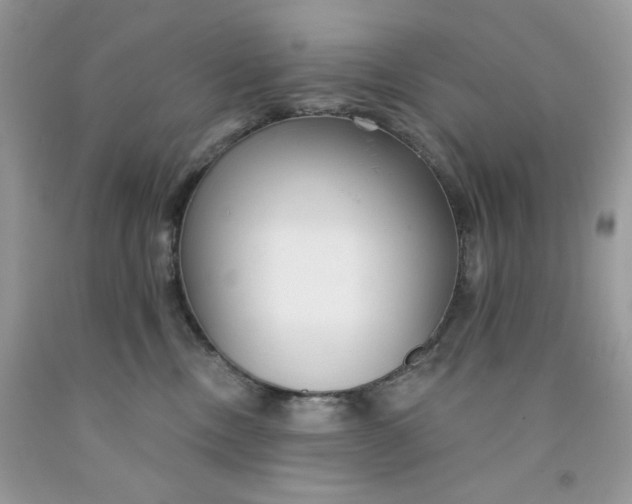 X0000091700378200709141104