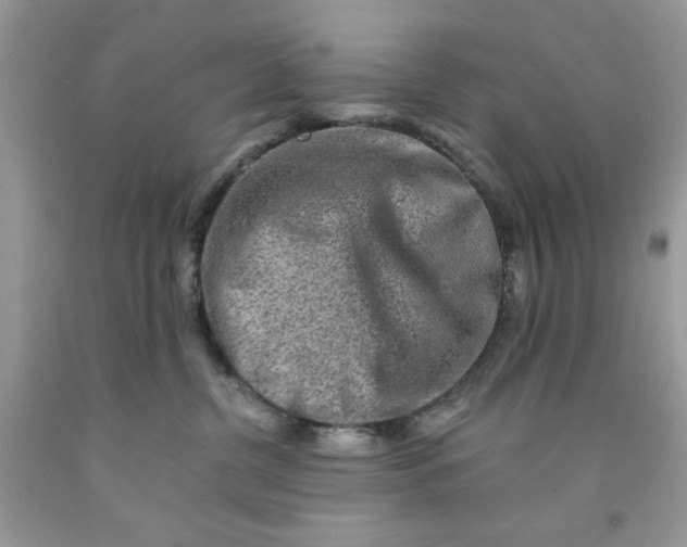 X0000091700380200709141104