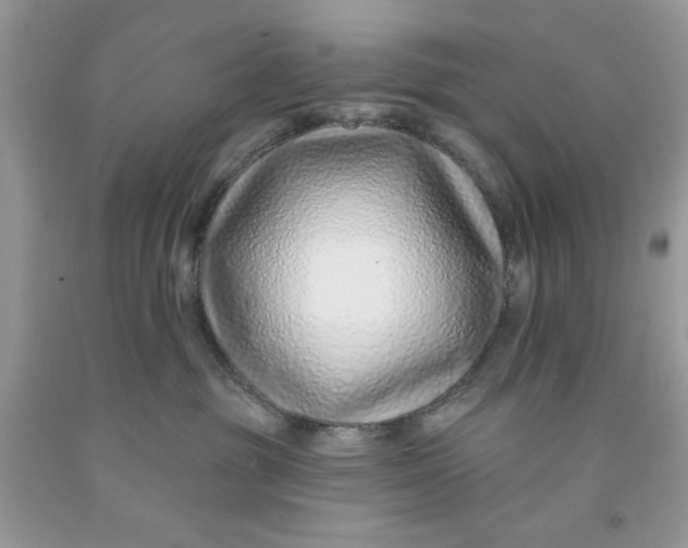 X0000091700381200709141104