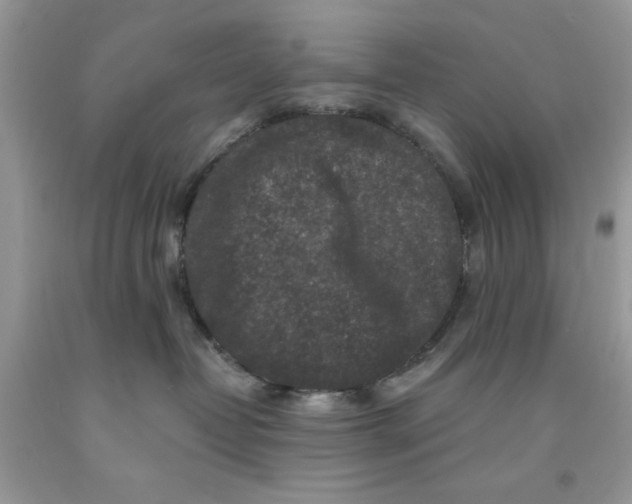 X0000091700382200709141104