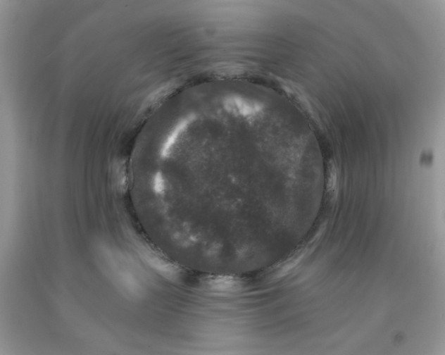 X0000091700383200709141104