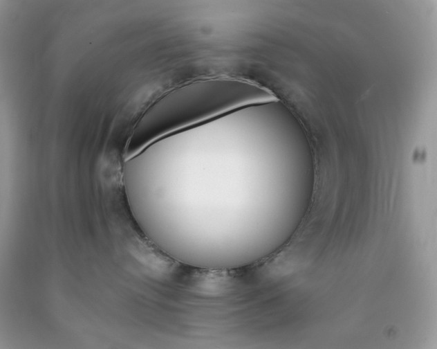 X0000091700384200709141104