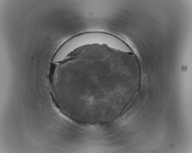 X0000091700385200709141104