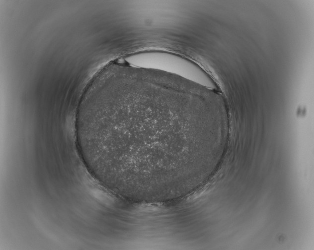 X0000091700386200709141104