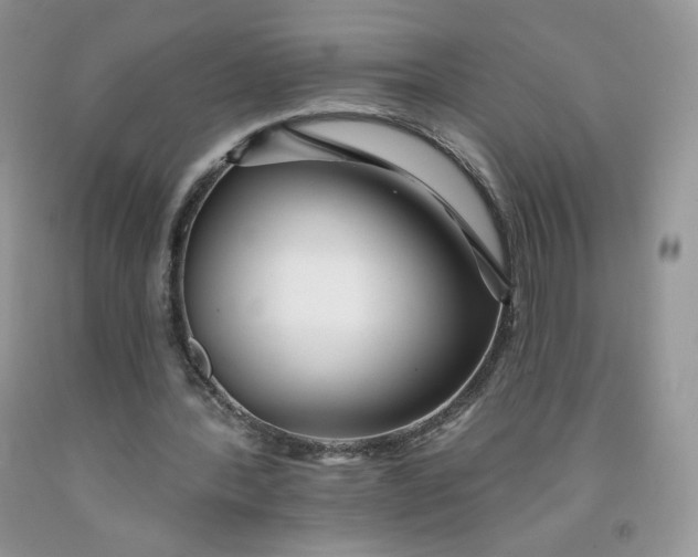 X0000091700388200709141104