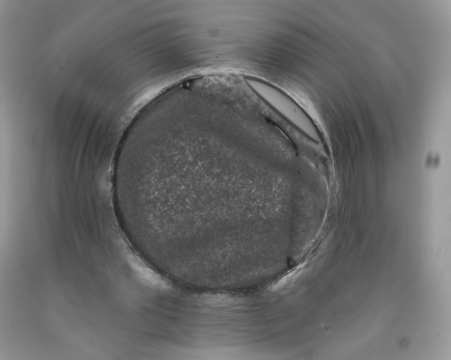 X0000091700389200709141104