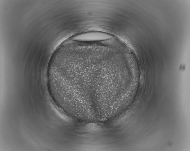 X0000091700390200709141103