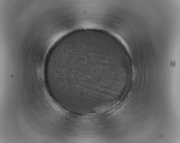 X0000091700391200709141103