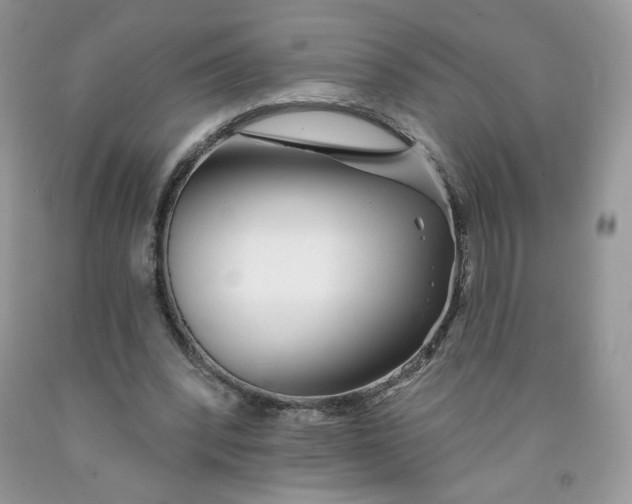 X0000091700392200709141103