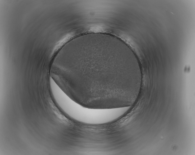 X0000091700393200709141103