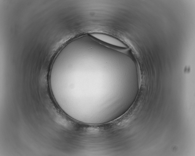 X0000091700394200709141103