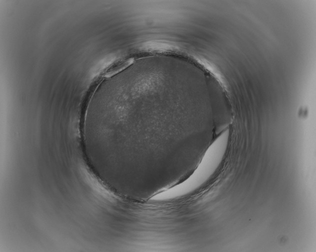 X0000091700399200709141103