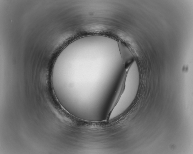 X0000091700400200709141103