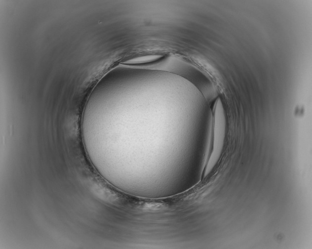 X0000091700401200709141103