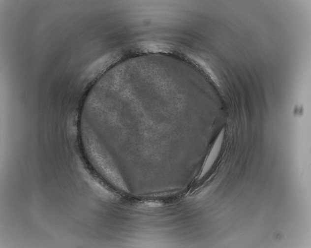 X0000091700402200709141103