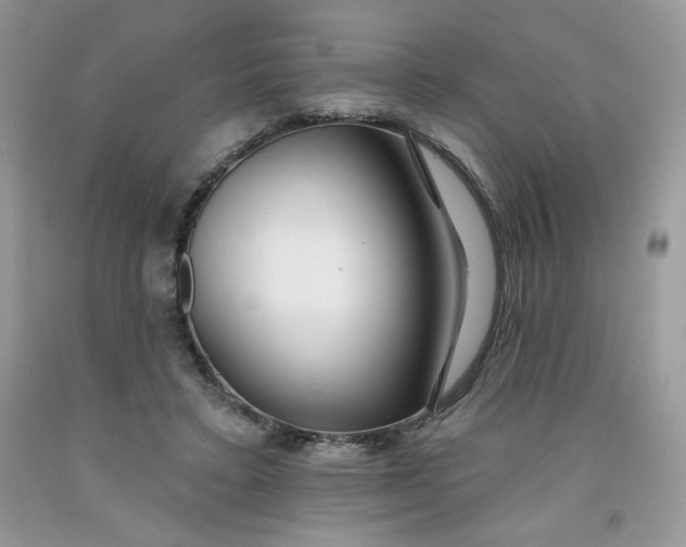 X0000091700403200709141103