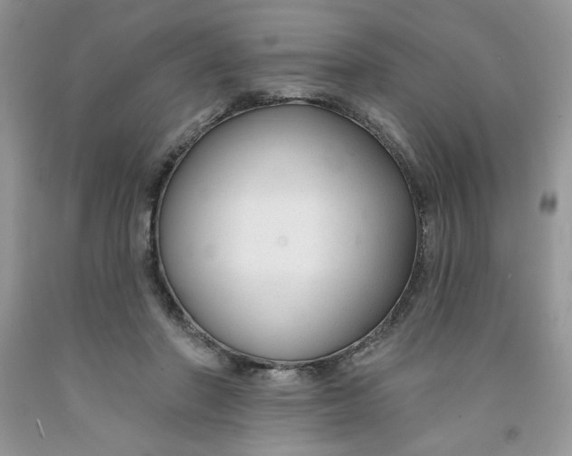 X0000091700406200709141103