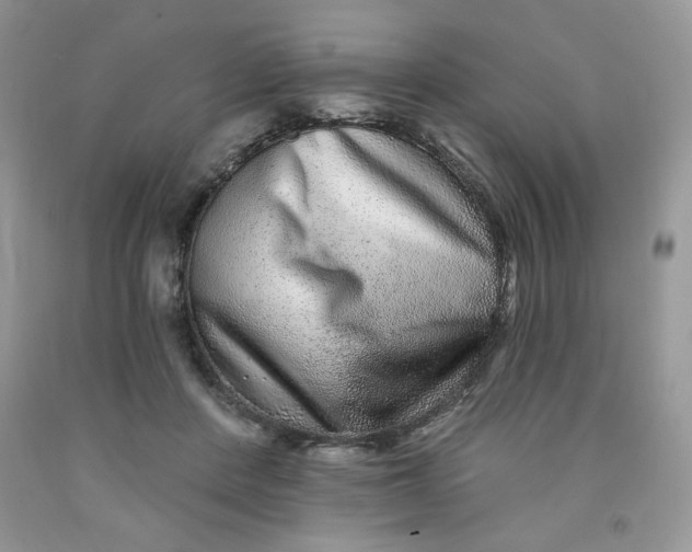 X0000091700408200709141103