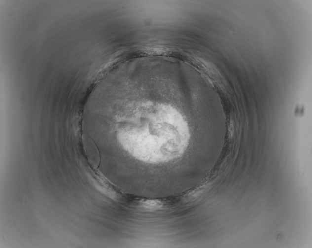 X0000091700409200709141103